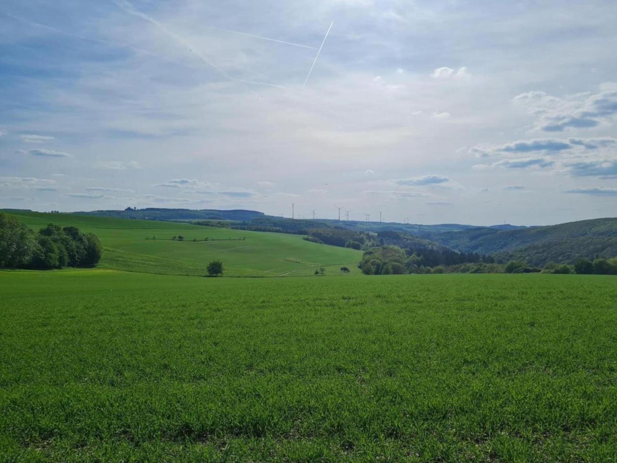 Tranquil Holiday Home In Filz In The Eifel With Garden Extérieur photo